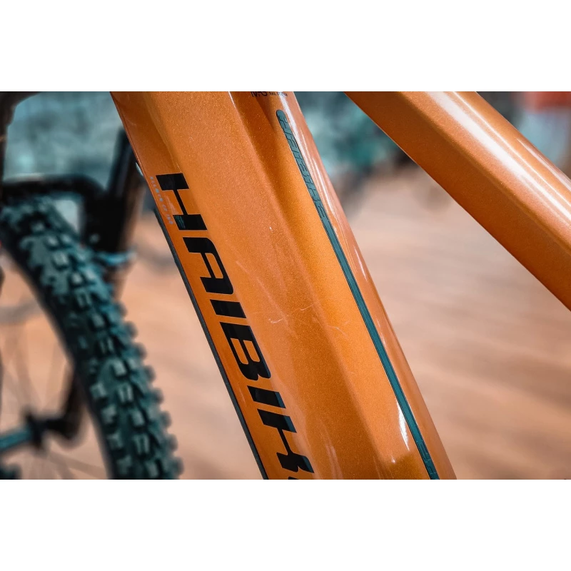 Haibike ALLMTN CF6 2022 Reconditionné T.M 6 Haibike ALLMTN CF6 2022 Reconditionné T.M – Image 6