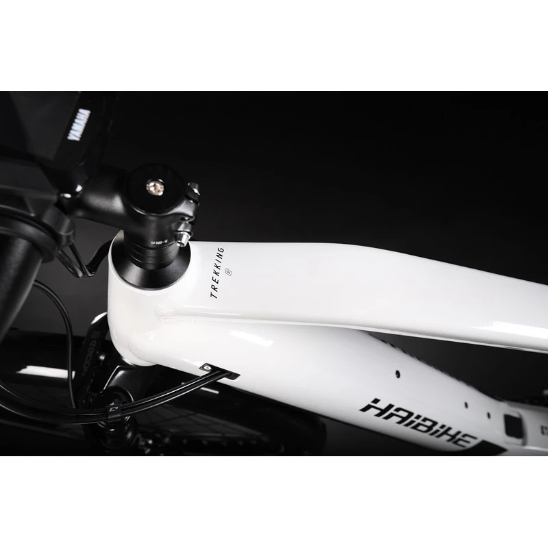 Haibike Trekking 8 Hommes 2022 6 Haibike Trekking 8 Hommes 2022 – Image 6